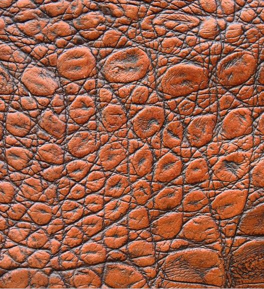 Sellerie à Tourrettes Doc'Sellier